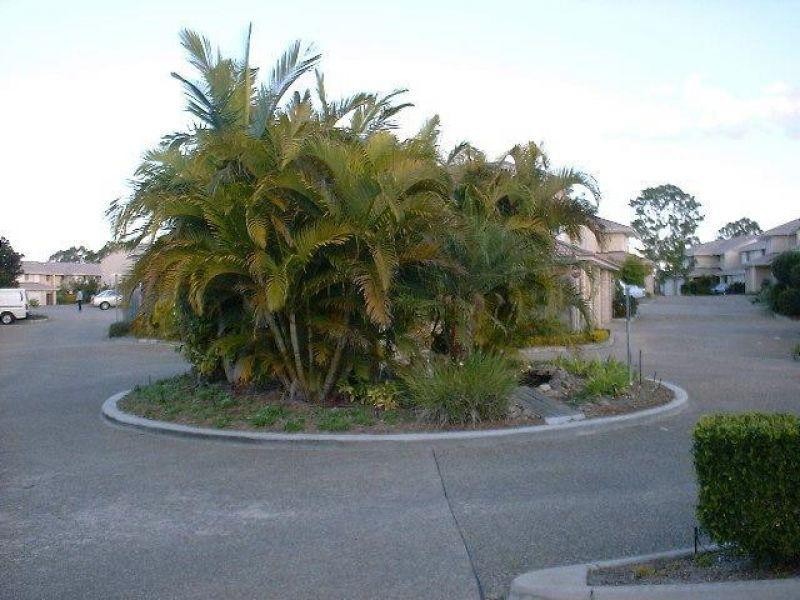 Cornubia QLD 4130