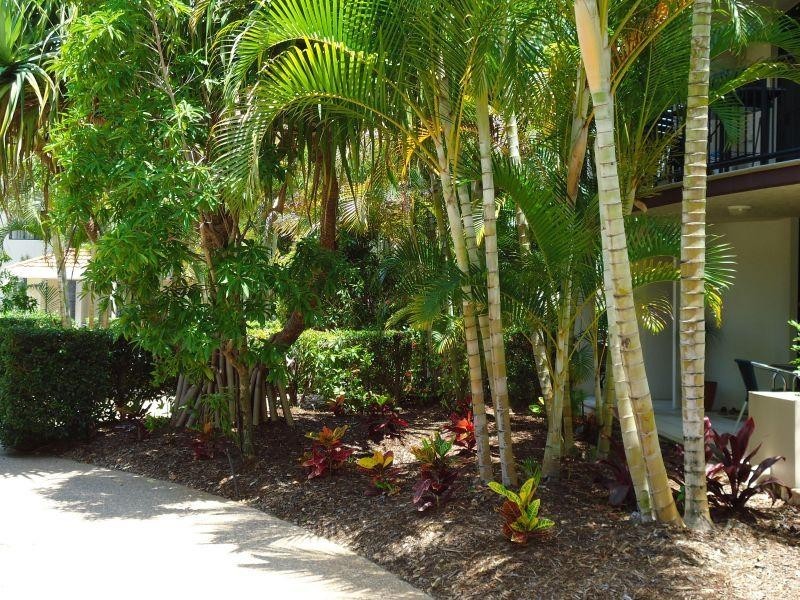 Mermaid Beach QLD 4218