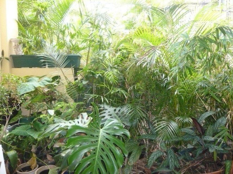 9/336 Boundary Street, Spring Hill QLD 4000