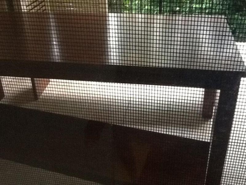 223 223/2 Rigg Street, Woree QLD 4868