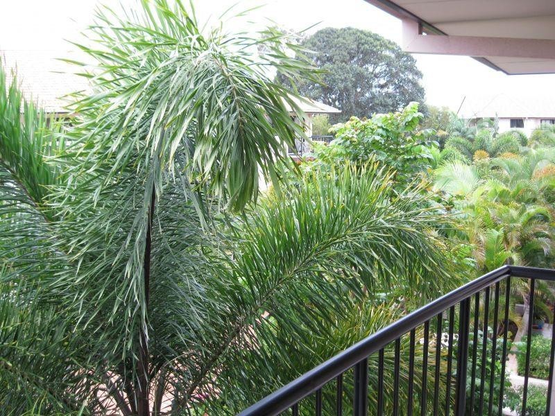 Mermaid Beach QLD 4218