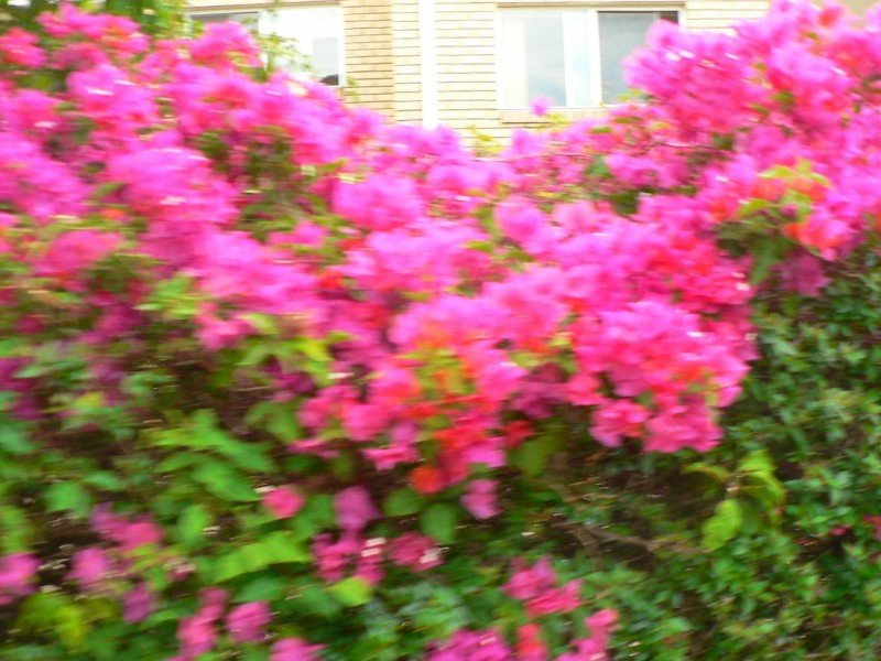 16-22 Whitby Street, Southport QLD 4215