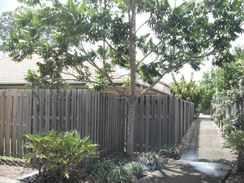 8/2 Bos Drive, Coomera QLD 4209
