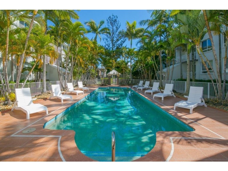 35 Palm Avenue, Surfers Paradise QLD 4217