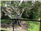 152 Palm Meadows Drive, Carrara QLD 4211