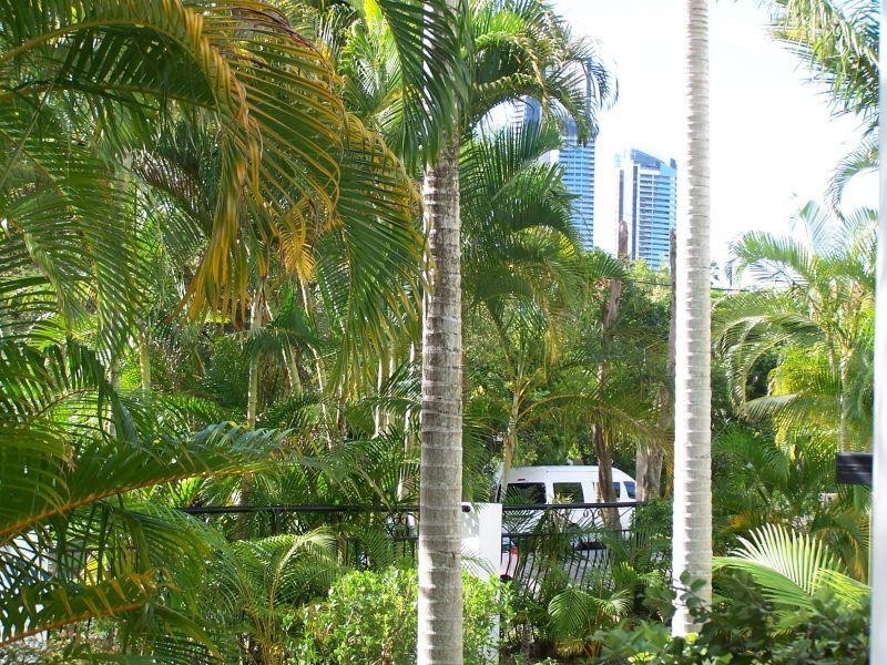 16-24 Purli Street, Chevron Island QLD 4217