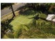 213/35 Palm Avenue, Surfers Paradise QLD 4217