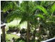 Mermaid Beach QLD 4218