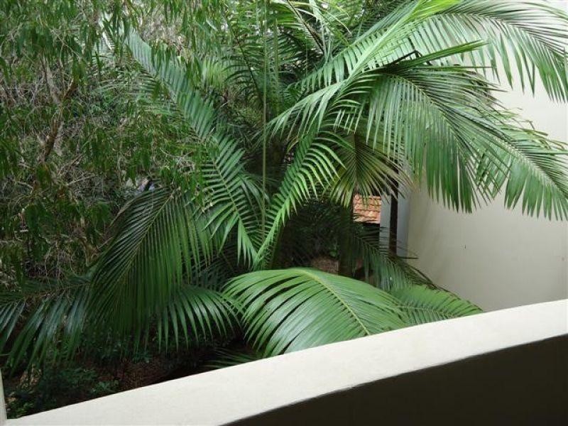 Mermaid Beach QLD 4218