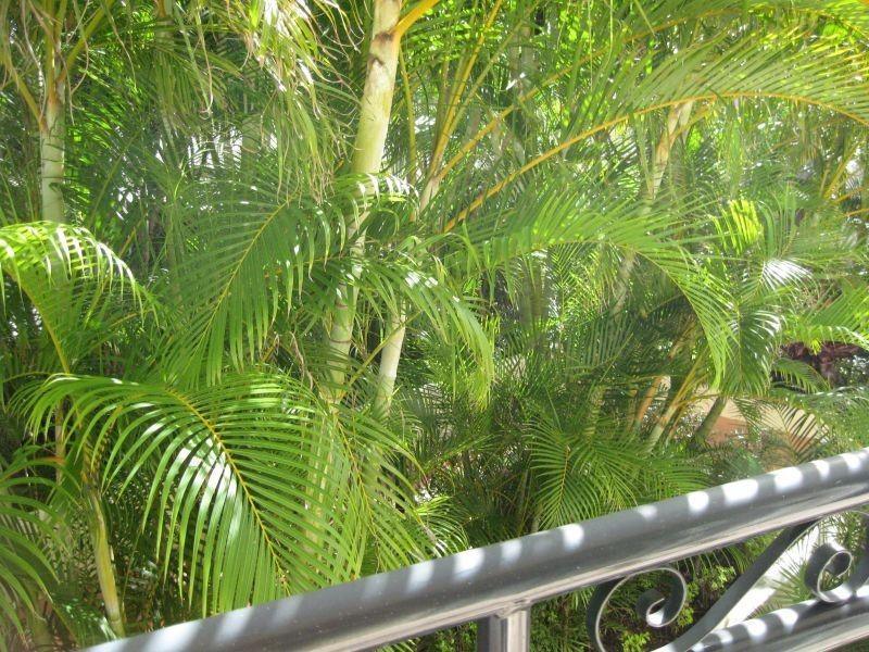 205/2988 Surfers Paradise Boulevard, Surfers Paradise QLD 4217