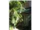 100 Racecourse Road, Bundall QLD 4217