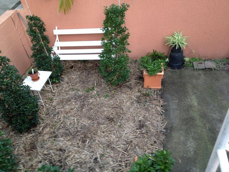 12 ELIZABETH, Broadbeach QLD 4218