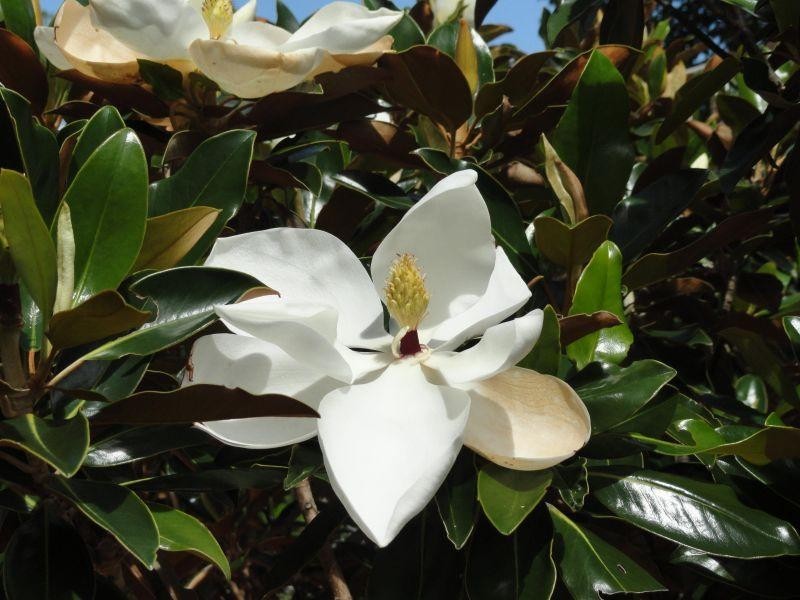 12 Paradise Island, Surfers Paradise QLD 4217