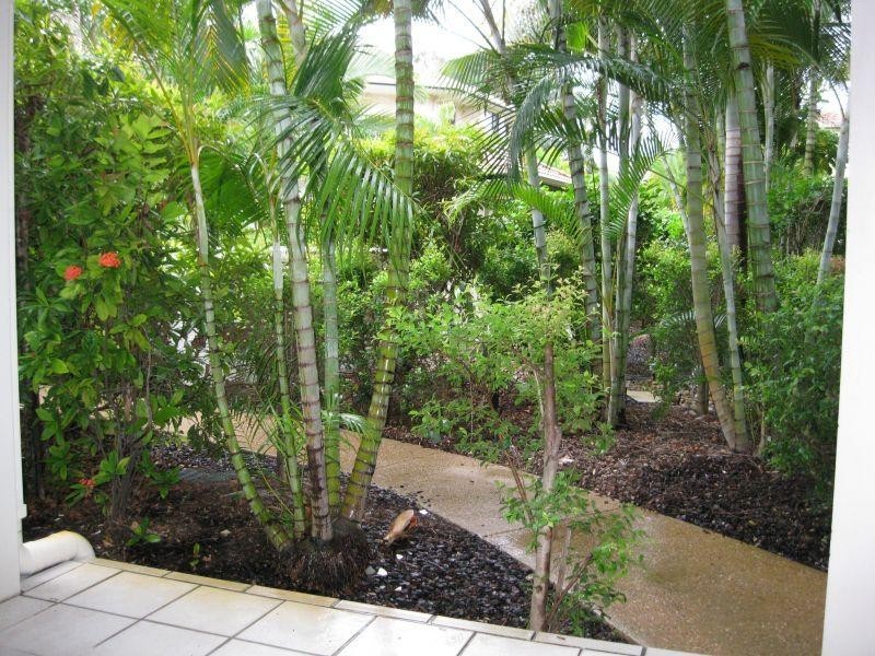 Mermaid Beach QLD 4218