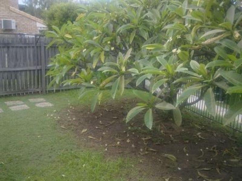 75/135 Bage Street, Nundah QLD 4012