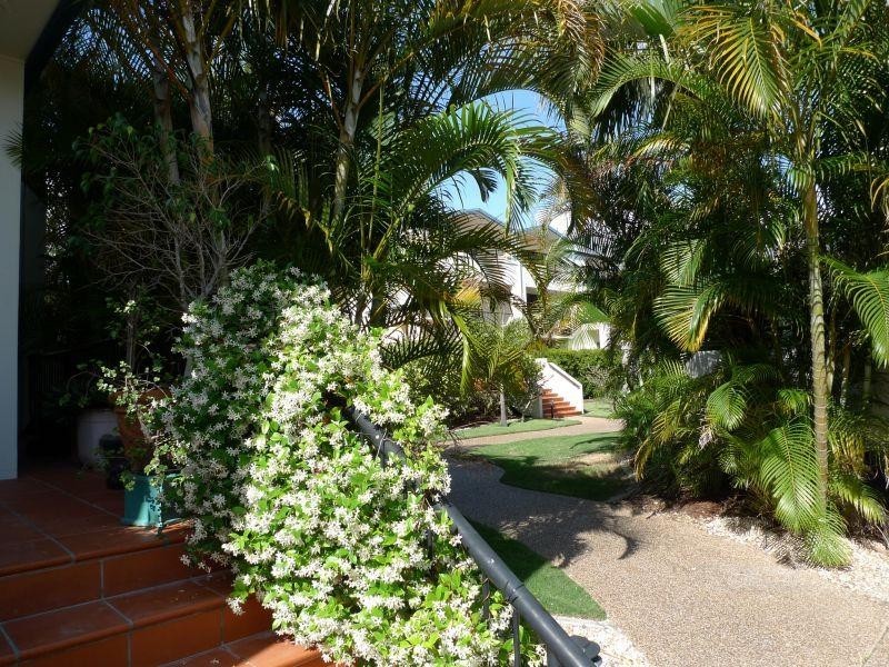 38 Labrador Street, Labrador QLD 4215