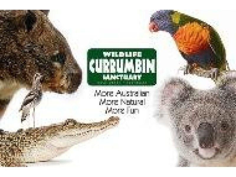 556 Gold Coast Highway, Tugun QLD 4224