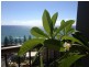 45 Hayle Street, Burleigh Heads QLD 4220