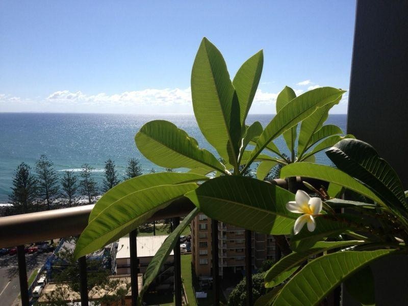 45 Hayle Street, Burleigh Heads QLD 4220