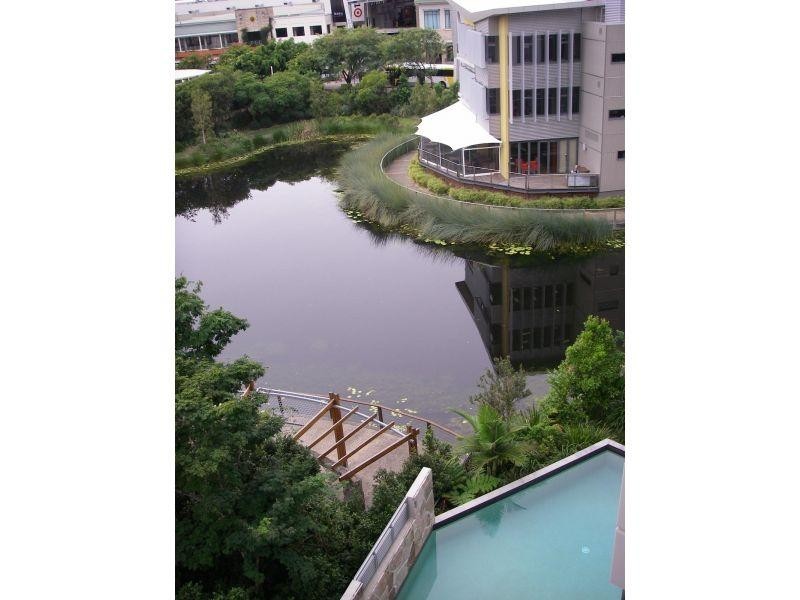 38 Riverwalk Avenue, Robina QLD 4226