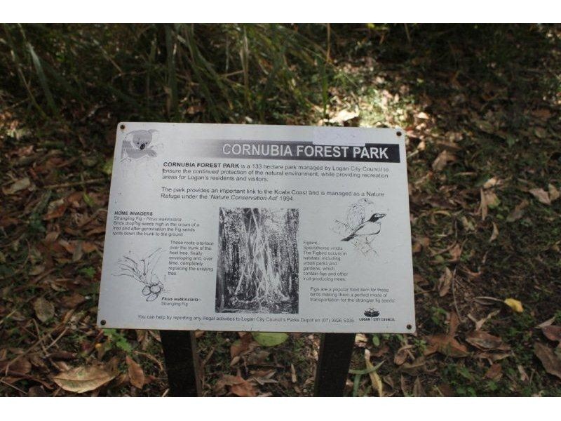 127 Parkview Crescent, Cornubia QLD 4130