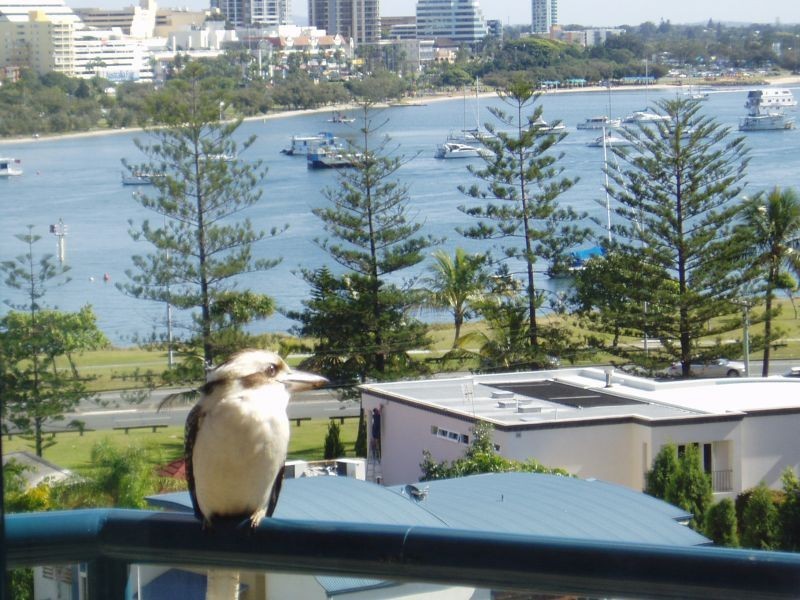 22 Montgomery Avenue, Main Beach QLD 4217