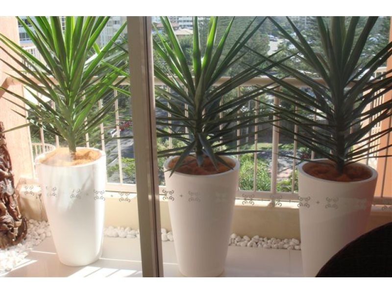 1 Peak Avenue, Main Beach QLD 4217