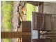 6 Tomah Street, Pacific Pines QLD 4211