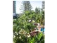 24 Hamilton Avenue, Surfers Paradise QLD 4217