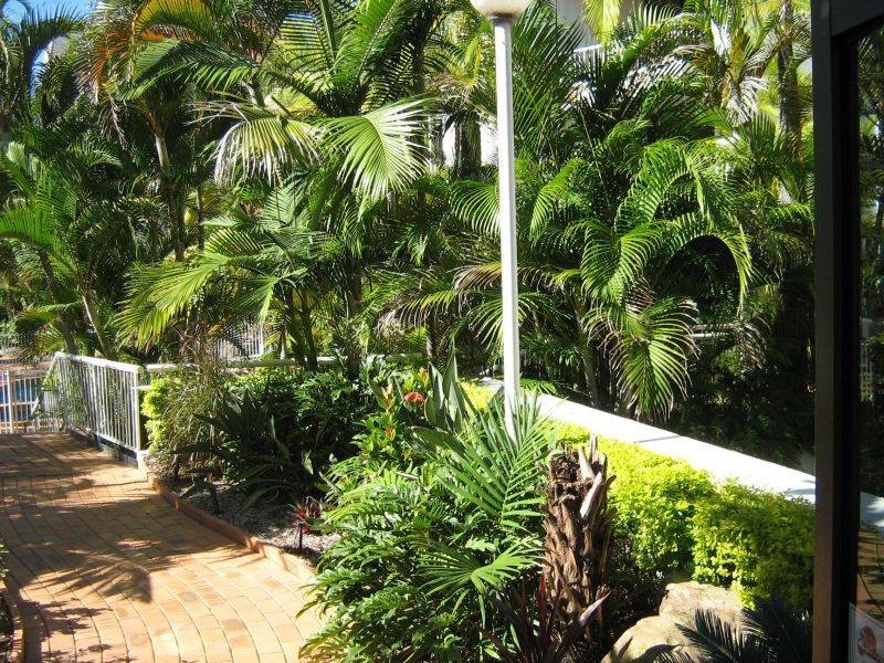 24 Hamilton Avenue, Surfers Paradise QLD 4217