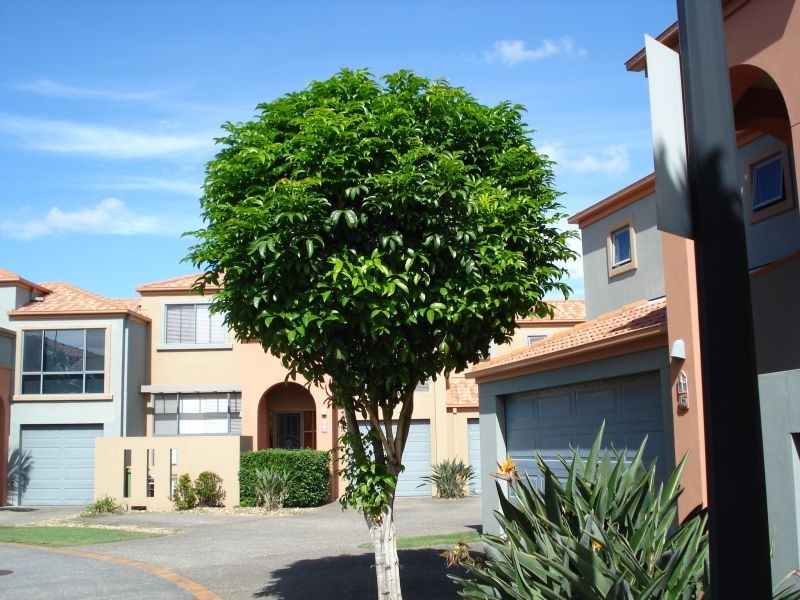 20 Fairway Drive, Clear Island Waters QLD 4226