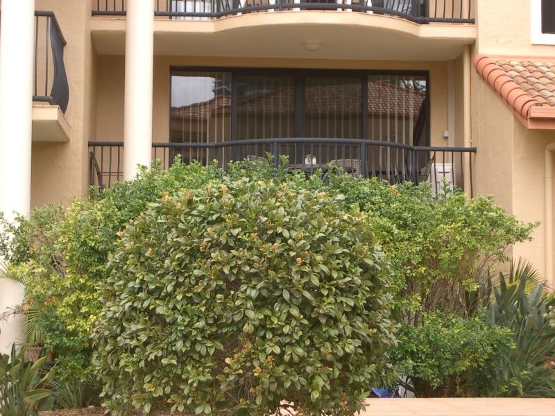 20, 16-26 Waverley Street, Southport QLD 4215