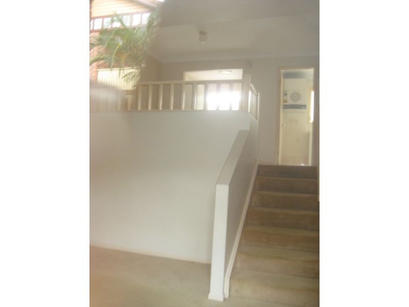 100 Racecourse Road, Bundall QLD 4217