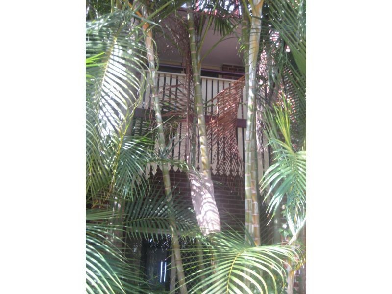 100 Racecourse Road, Bundall QLD 4217