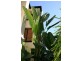 7, 79 Spence Street, Cairns QLD 4870