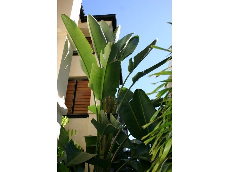 7, 79 Spence Street, Cairns QLD 4870