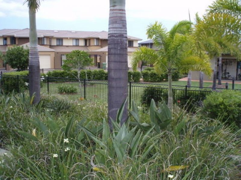 16, 23 Principal Street, Upper Coomera QLD 4209