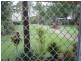 Unit 204, 1 West Burleigh Road, Burleigh Heads QLD 4220