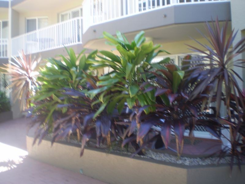 23, 22 Jennifer Avenue, Runaway Bay QLD 4216