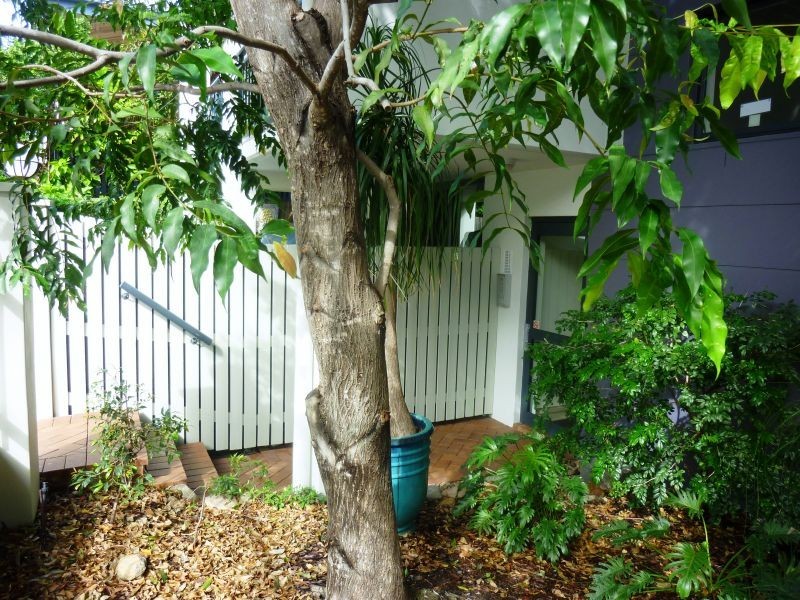 71 Birley Street, Spring Hill QLD 4000