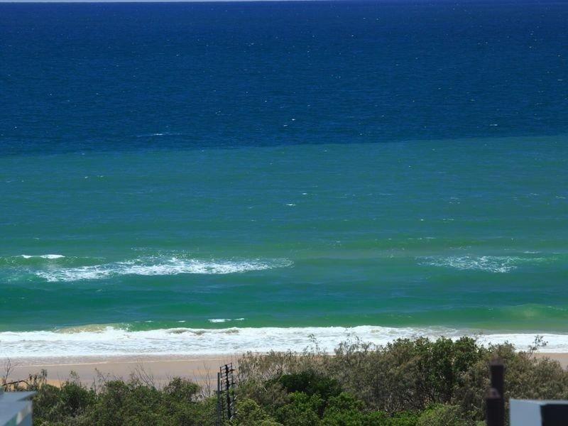 316 David Low Way, Peregian Beach QLD 4573