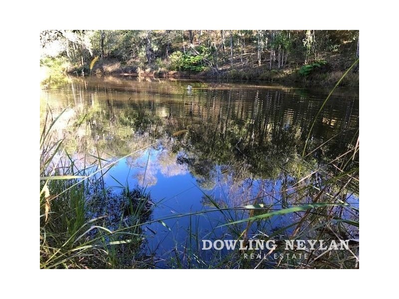 76 Driers Road, Cooran QLD 4569