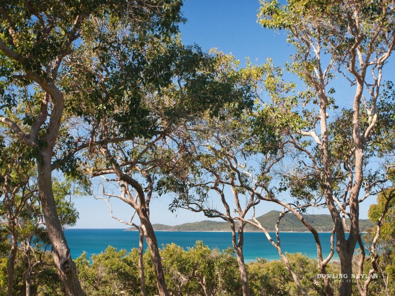 312 Teewah Beach Road, Noosa North Shore QLD 4565
