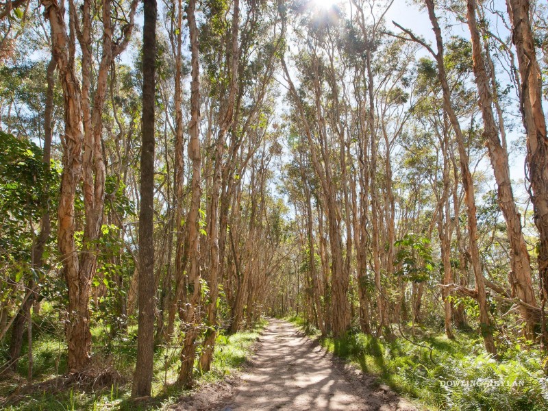 312 Teewah Beach Road, Noosa North Shore QLD 4565