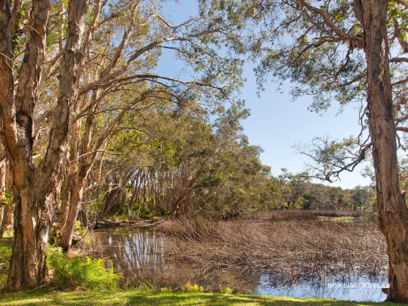 312 Teewah Beach Road, Noosa North Shore QLD 4565