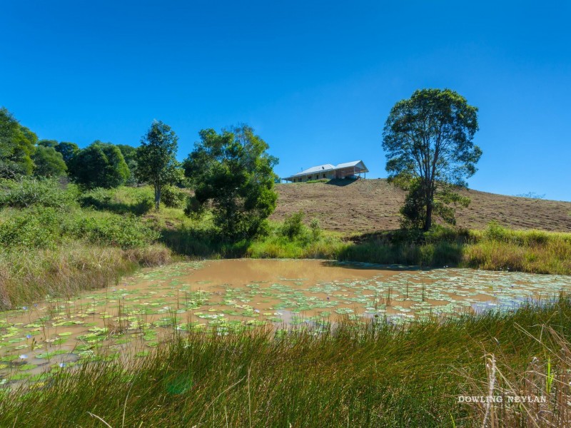 35 Flindersia Drive, Traveston QLD 4570