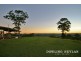 1033 Black Mountain Road, Federal QLD 4568