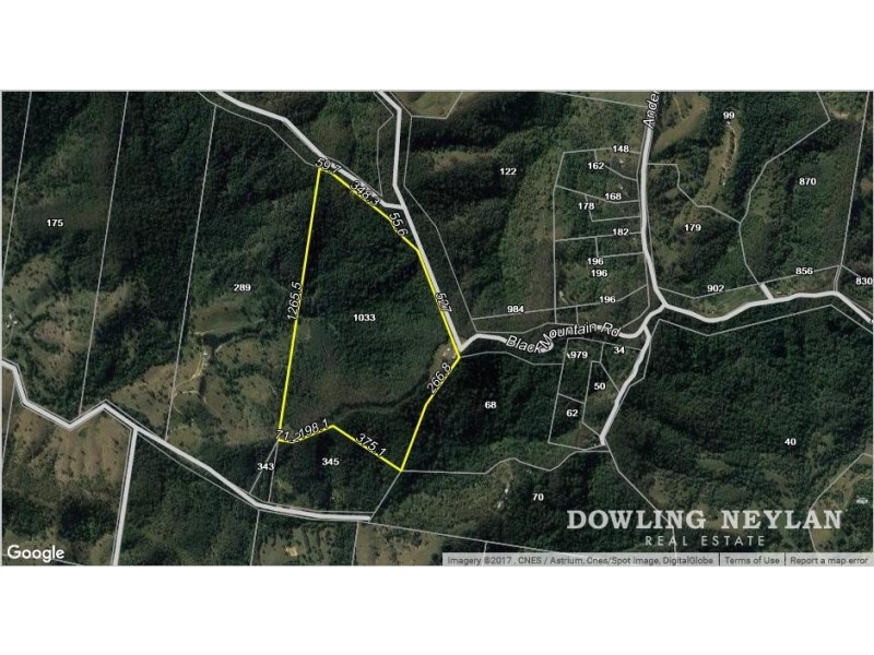 1033 Black Mountain Road, Federal QLD 4568