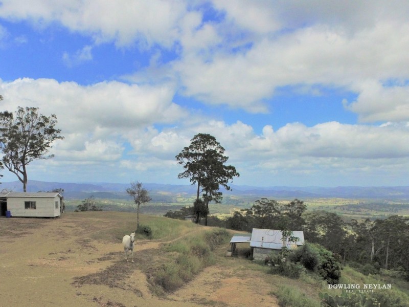 1033 Black Mountain Road, Federal QLD 4568