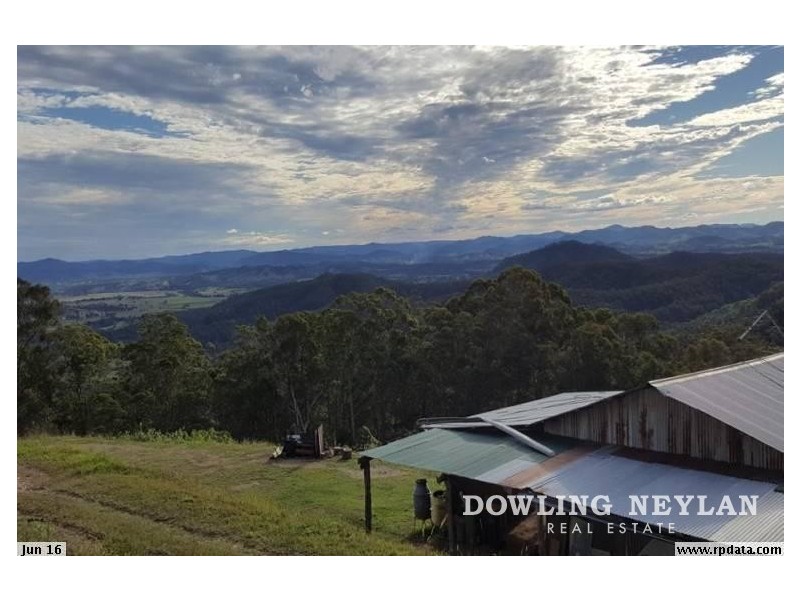 1033 Black Mountain Road, Federal QLD 4568
